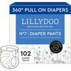 102 Count (Pack of 1)